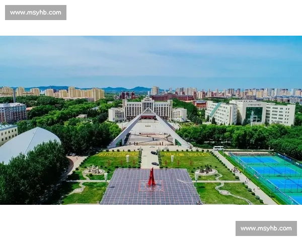 邱炮谋vs新时代科技变革中的战略博弈与个人抉择之路全景解析探讨